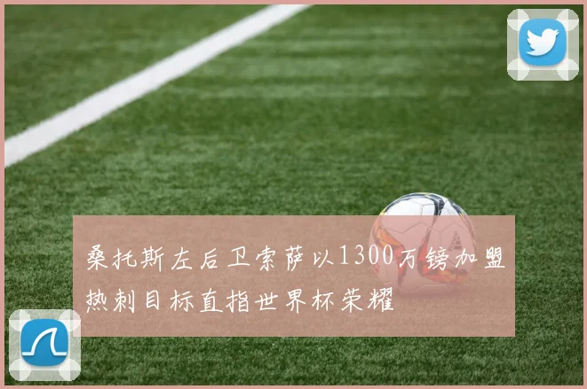 桑托斯左后卫索萨以1300万镑加盟热刺目标直指世界杯荣耀