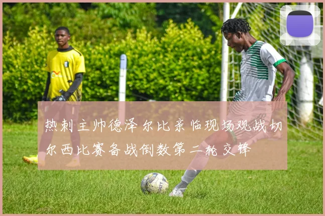 热刺主帅德泽尔比亲临现场观战切尔西比赛备战倒数第二轮交锋